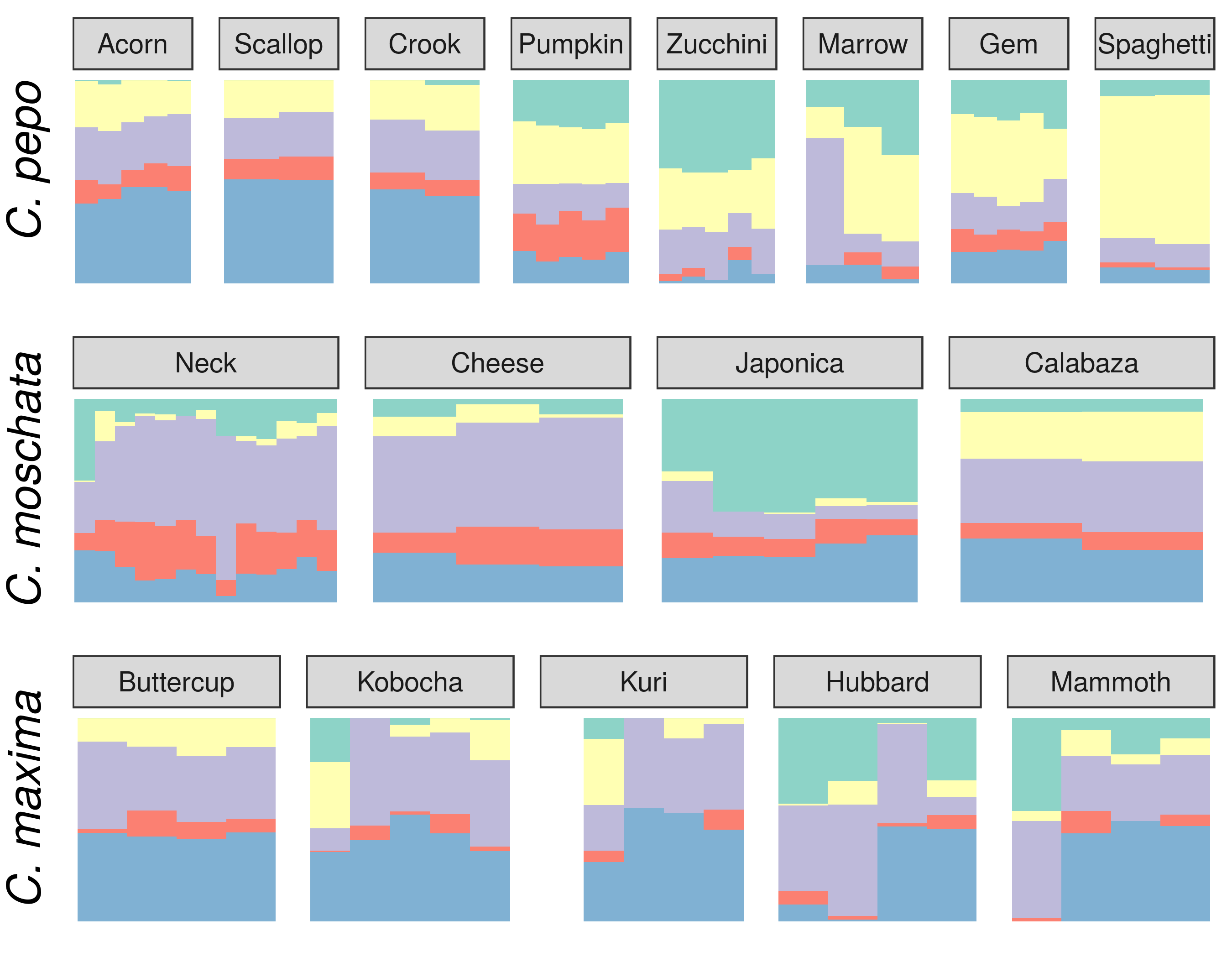 Figure 3: Ancestry coefficients projected on cultivars from each species. Results are shown grouped by market/varietal class.