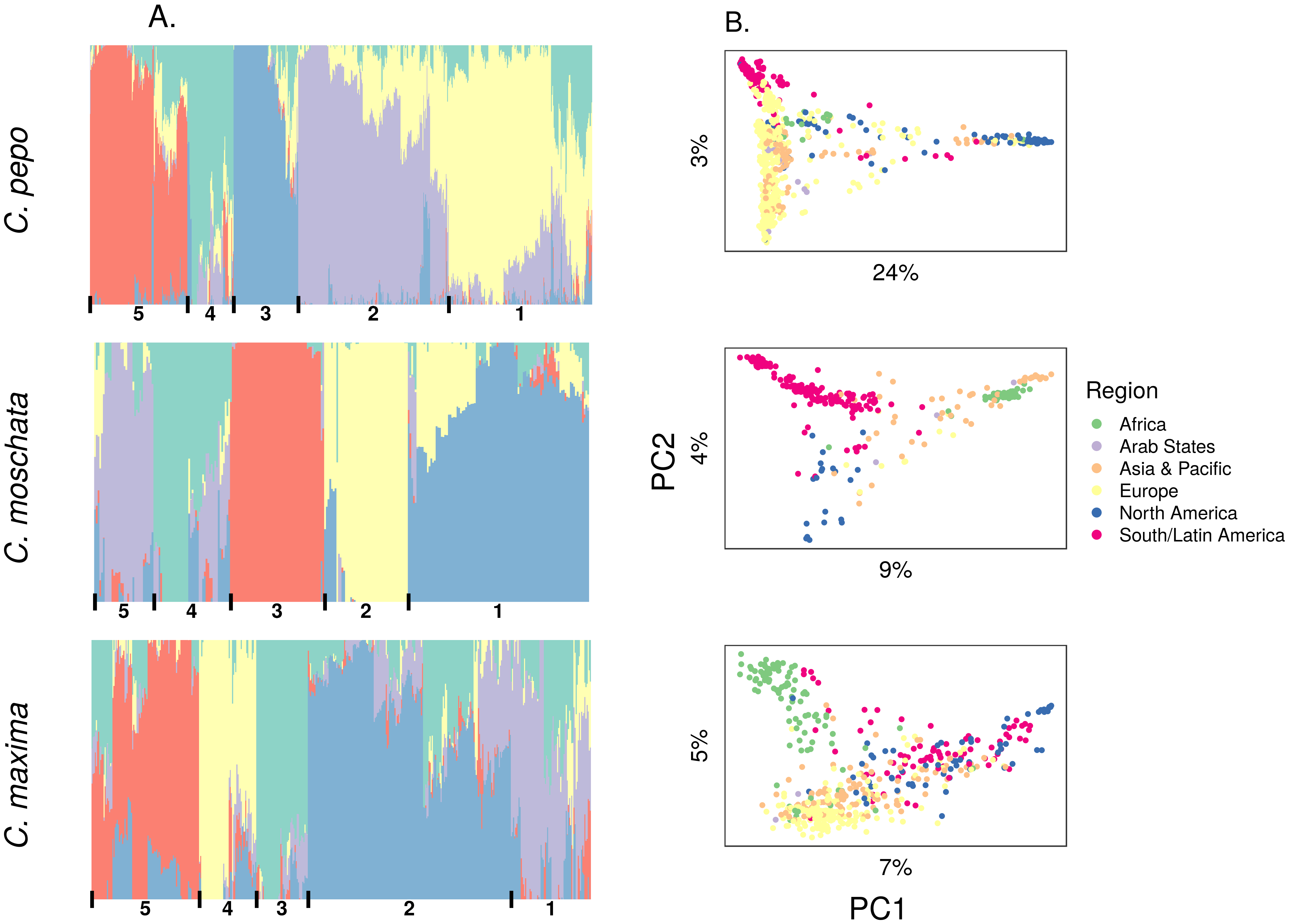 Figure 2: Population structure results aligned vertically by species. (A) Admixture plots: each stacked barplot represents an accession colored by proportion of inferred ancestral population. Groups based on hierarchical clustering are delimited by vertical bars and labeled with numbers along the bottom. (B) Plots of the first two principle components (PC) of accessions colored by region, variation explained by PCs is labeled on each axis.