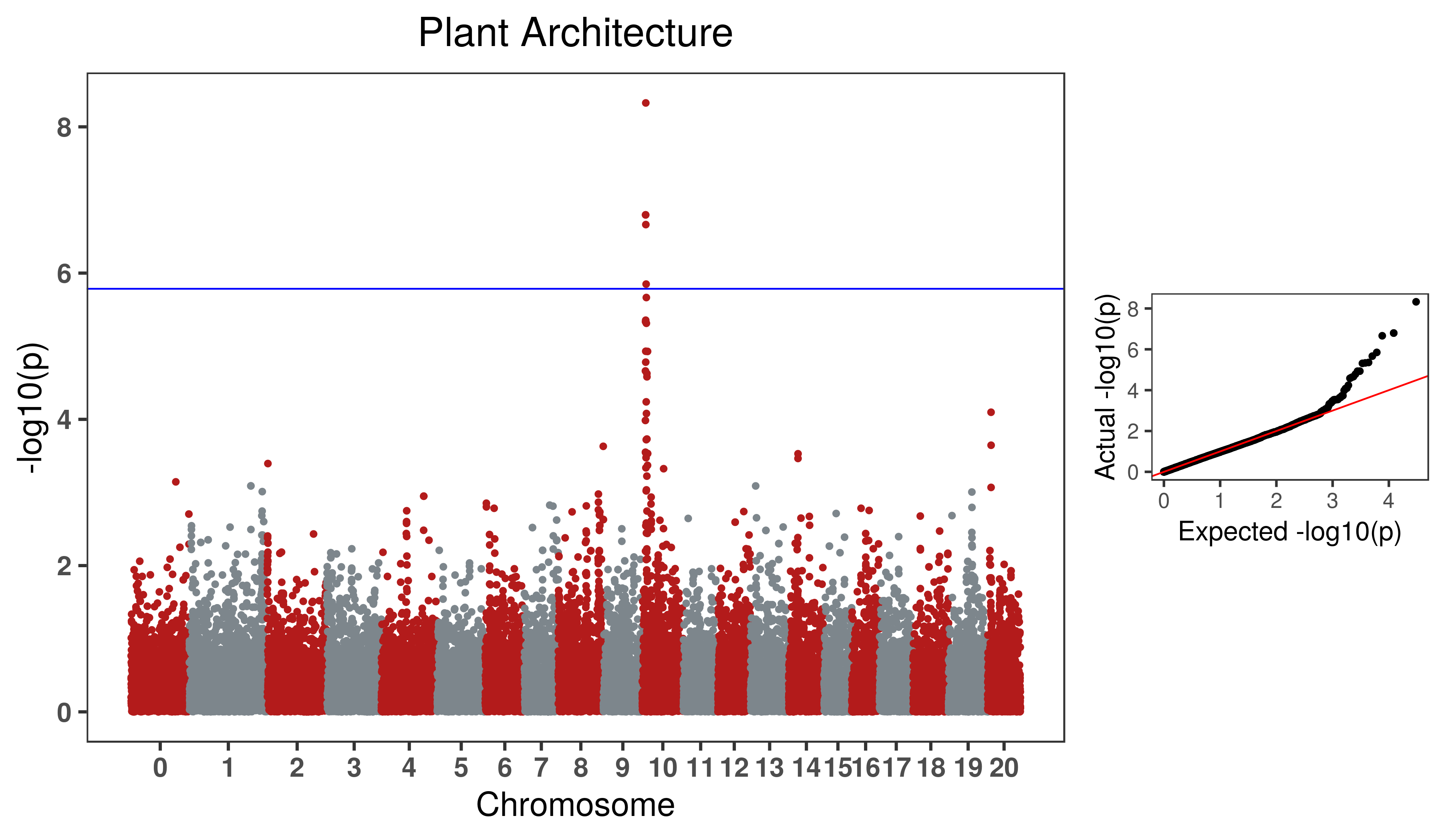 Figure 4: GWAS result for the Bush gene (Bu) in C. pepo